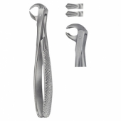 1009 AMERICAN EXTRACTIVE FORCEP